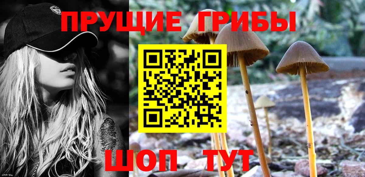 Галлюциногенные грибы мухоморы Нижнекамск