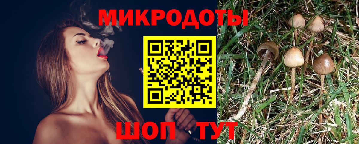 Галлюциногенные грибы MAGIC MUSHROOMS  Псилоцибиновые грибы прущие грибы  Нижнекамск  Вход с VPN 